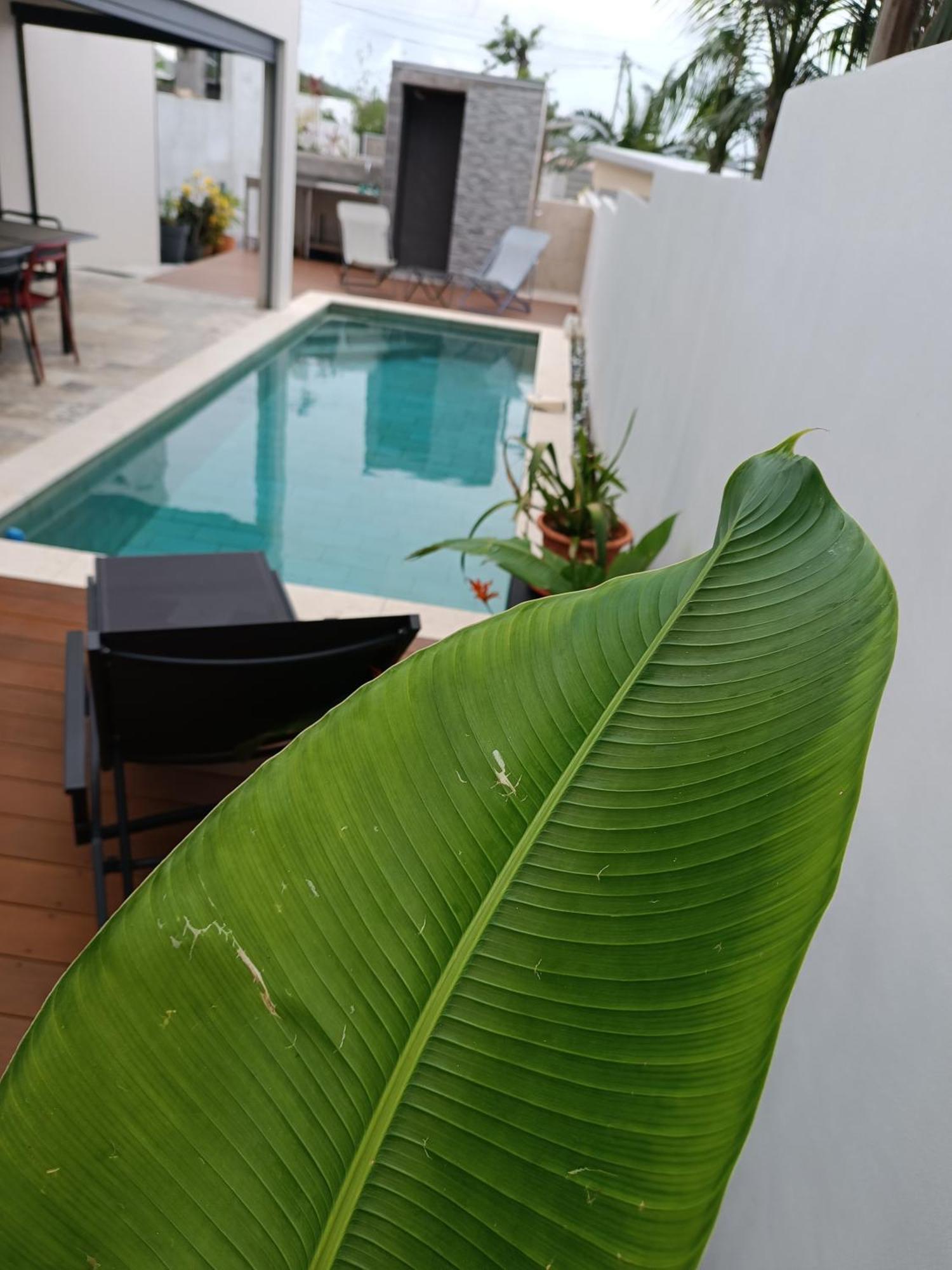 סיינט ג'וזף Villa O'Lhaya Piscine Pivee מראה חיצוני תמונה