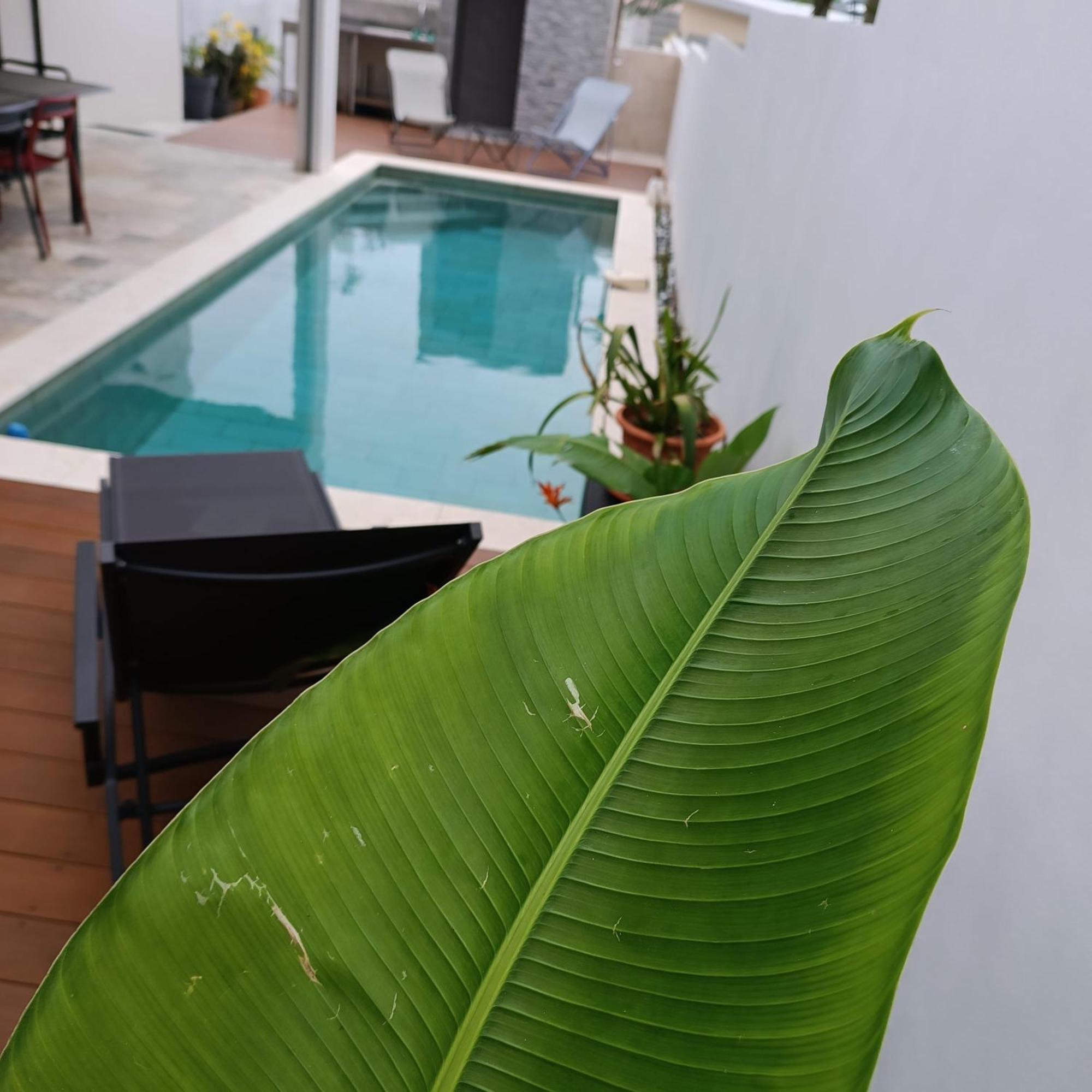 סיינט ג'וזף Villa O'Lhaya Piscine Pivee מראה חיצוני תמונה