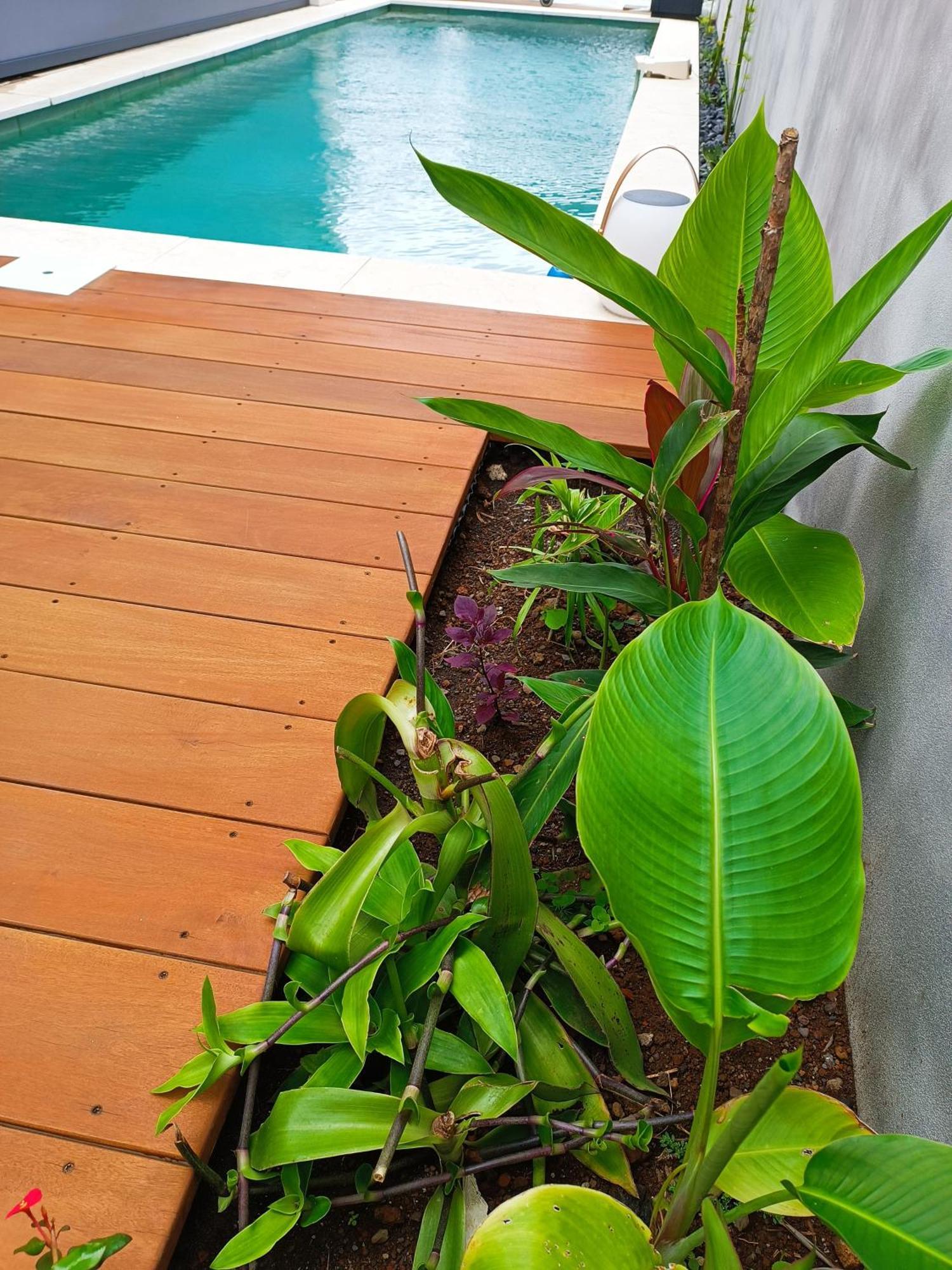 סיינט ג'וזף Villa O'Lhaya Piscine Pivee מראה חיצוני תמונה